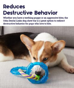 Petstages Dental Links Dog Chew Toy – Puppies & Adults, Strong Chewers, Multiple Textures & Rope, 8.5