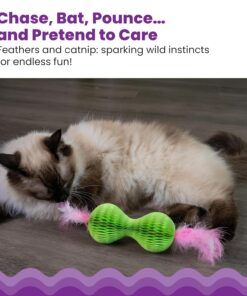 Petstages Honeycomb Hide-A-Ball Catnip Cat Toy – 2-in-1 Scratcher and Catnip Toy with Feathers and Corrugated Shell