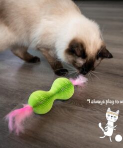 Petstages Honeycomb Hide-A-Ball Catnip Cat Toy – 2-in-1 Scratcher and Catnip Toy with Feathers and Corrugated Shell