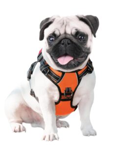 PHOEPET No Pull Dog Harness Medium Reflective Front Clip Vest with Handle,Adjustable 2 Metal Rings 3 Buckles,[Easy to Put on & Take Off](M, Orange)