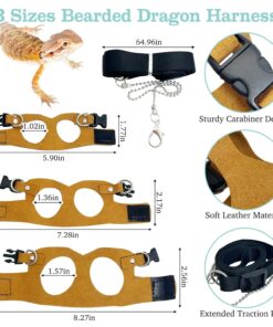 PINVNBY Bearded Dragon Carrier Backpack with Harness and Leash Set Large Reptile Travel Carrier Portable Lizard Backpack Clear Bubble Window Small Animal Carrying Bag for Gecko...