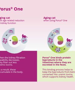 Porus One, 500mg, 30ct