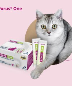 Porus One, 500mg, 30ct