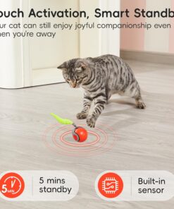 Potaroma Moving Ball Cat Toys with Feather Tail, Rechargeable 2025 New Interactive Toy for Indoor Cats Exercise, Smart Interactive Kitten Rolling Ball, Orange