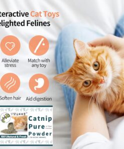 Premium Catnip for Cats & Kittens – Cold-Processed, High Potency Nepetalactone, 100% Pure Organic Leaf-Only Catnip for Toys, Scratchers, Refills, Stimulates Play & Protects...