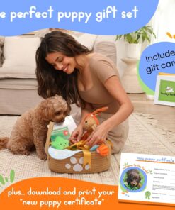 Premium Puppy Starter Kit - New Puppy Gift Basket with Essentials, Toy Box, Treat Tray, Training Supplies, Chew & Squeaky Toys for Puppies and Small Dogs - Complete Dog Must...