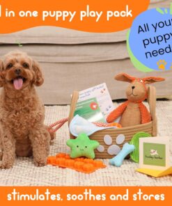 Premium Puppy Starter Kit - New Puppy Gift Basket with Essentials, Toy Box, Treat Tray, Training Supplies, Chew & Squeaky Toys for Puppies and Small Dogs - Complete Dog Must...