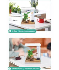 Pronetcus Betta Fish Tank, 2 Gallon Glass Aquarium Starter Kit, Small Fish Tank with Filter and Light.(White)
