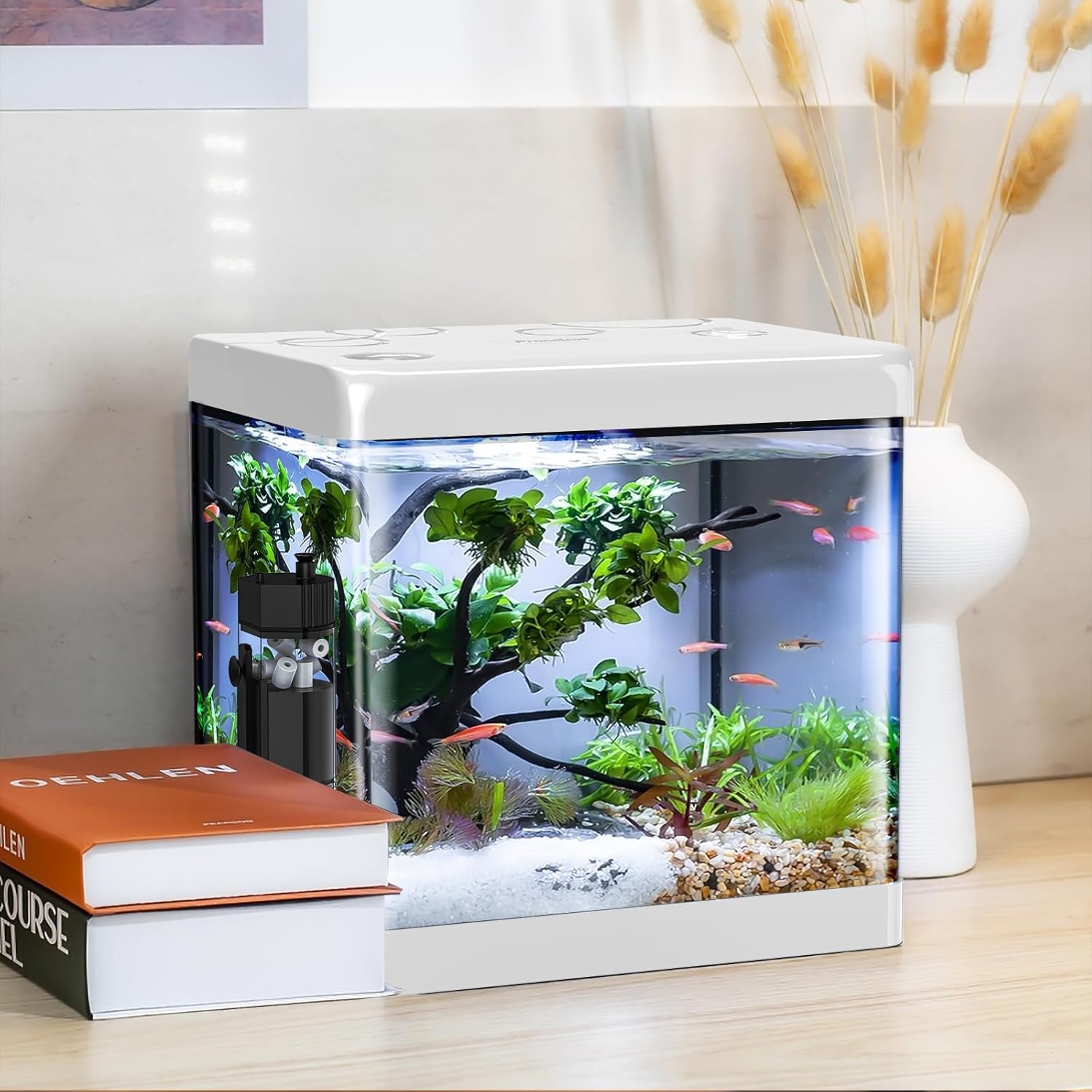 Pronetcus Betta Fish Tank, 2 Gallon Glass Aquarium Starter Kit, Small Fish Tank with Filter and Light.(White)