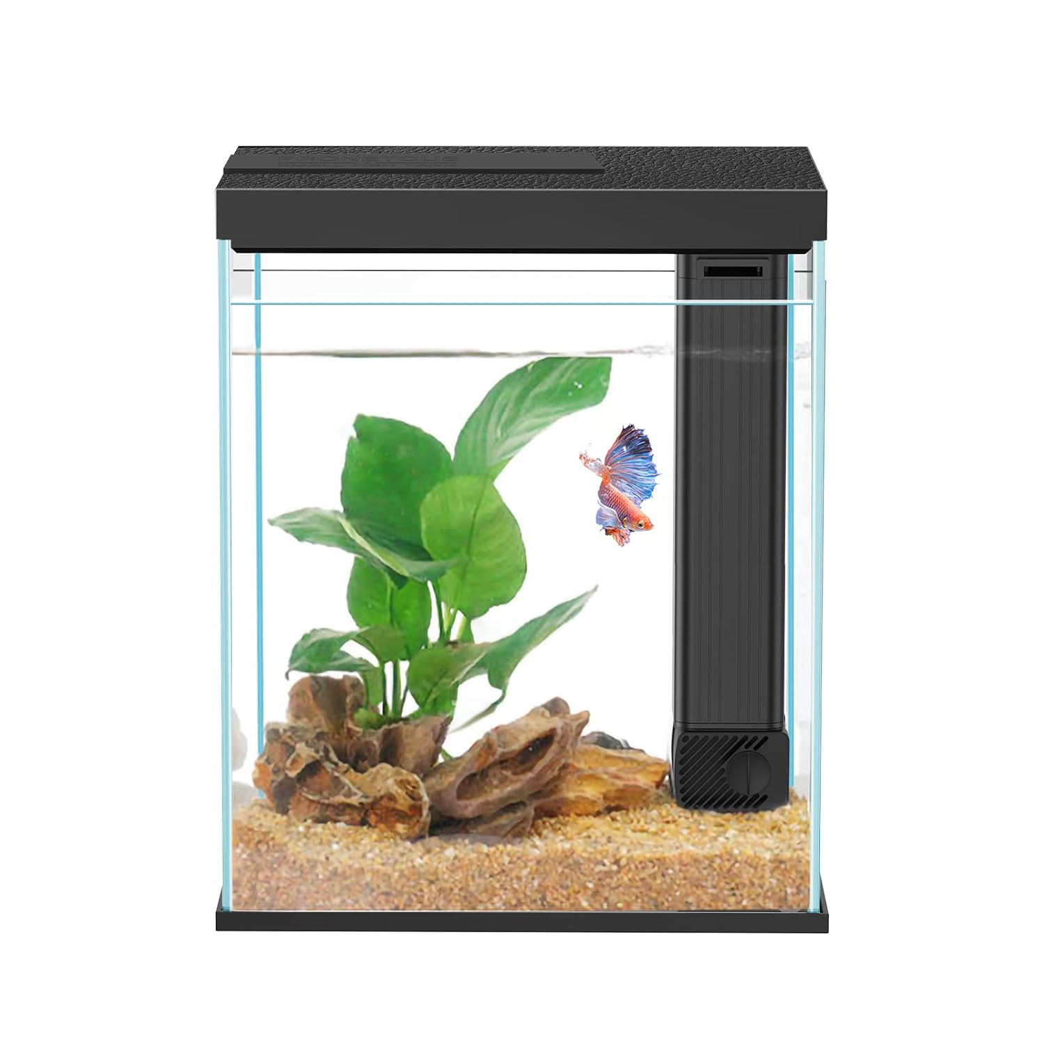 Pronetcus Betta Fish Tank, 2 Gallon Glass Aquarium Starter Kit, Small Fish Tank with Filter and Light.(White)
