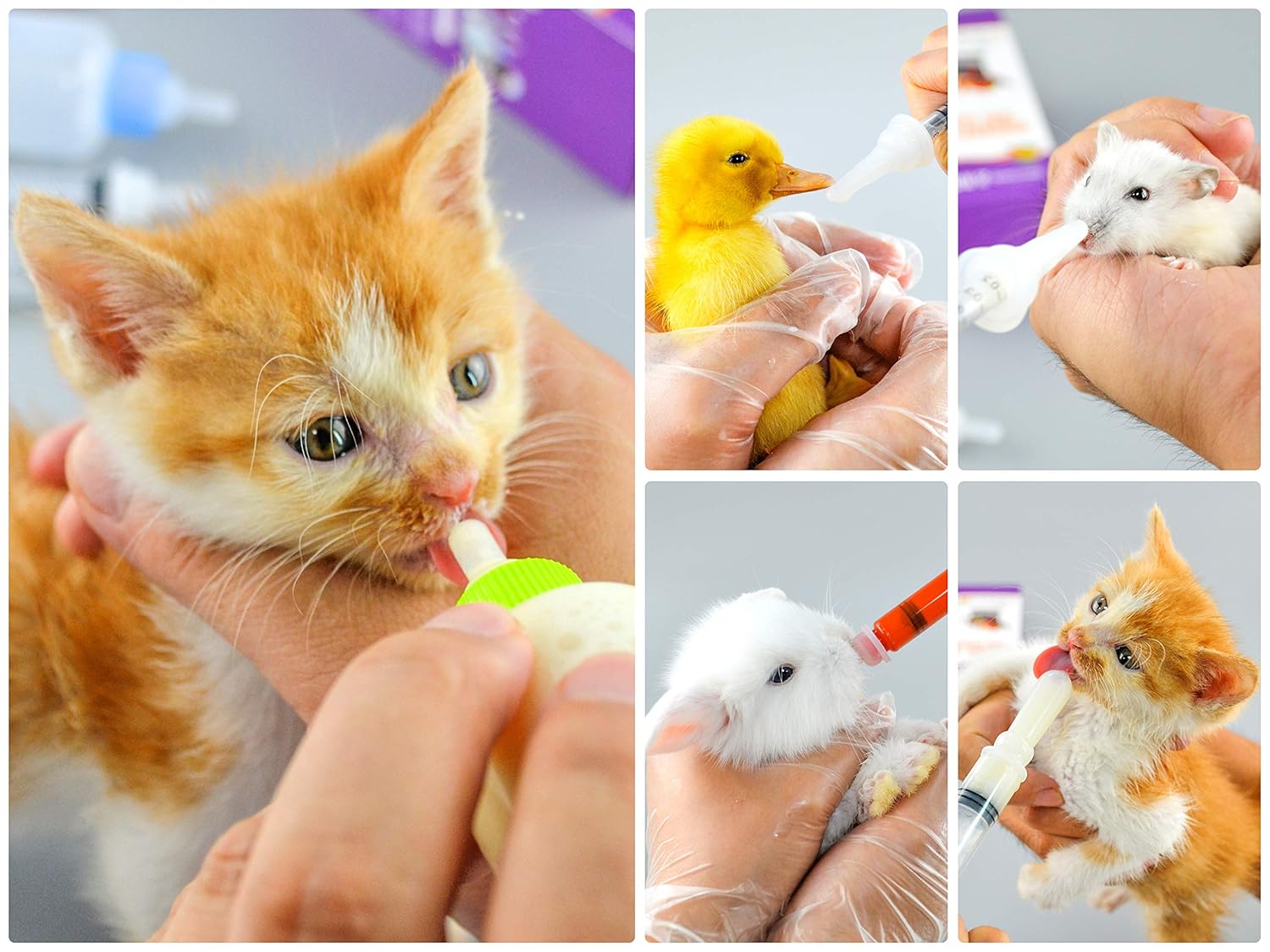 Puppy Kitten Bottle for Nursing, Newborn Baby Dog Cat Rabbit Feeding Bottles with Nipples Feeder Kit