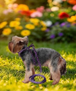 Puppy, S-M Dog Essentials Starter Kit Incl Harness and Collar Leash Sets, Blanket, 2 Travel Bowls, 3 Rope Toys, Pads, Poop Bags, 2 Bandanas Perfect for New Dog Owner, Birthday,...