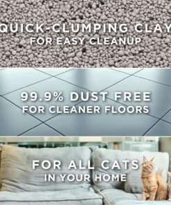 Purina Tidy Cats Free and Clean Unscented Clumping Cat Litter with Odor Control - 38 lb. Box