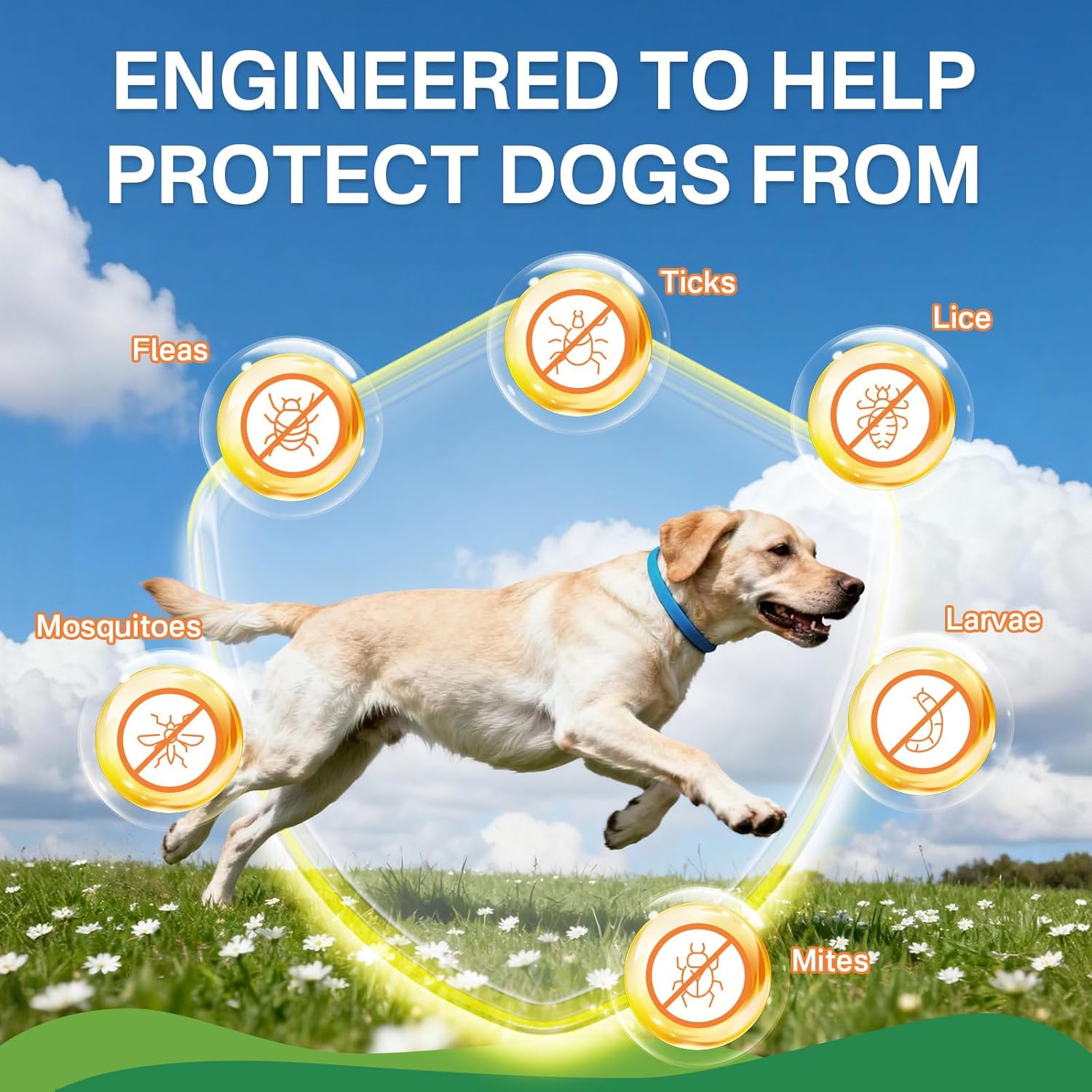 Puyrzoe Flea and Tick Prevention for Dogs Collar 4 Pack, Natural Flea Collar for Dogs 32-Month Full Protection, Adjustable Dog Tick Prevention for Puppy & Dog, Waterproof, 2...