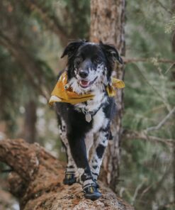QUMY Dog Shoes for Large Dogs, Medium Dog Boots & Paw Protectors for Winter Snowy Day, Summer Hot Pavement, Water-Resistant in Rainy Weather, Outdoor Walking, Indoor Hardfloors...
