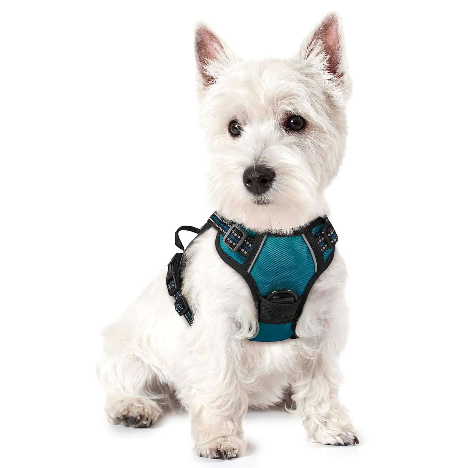 rabbitgoo Dog Harness No Pull with 2 Leash Clips, Adjustable Soft Padded, Reflective Oxford No Choke Pet Vest with Easy Control Handle for Large Dogs, Black, L
