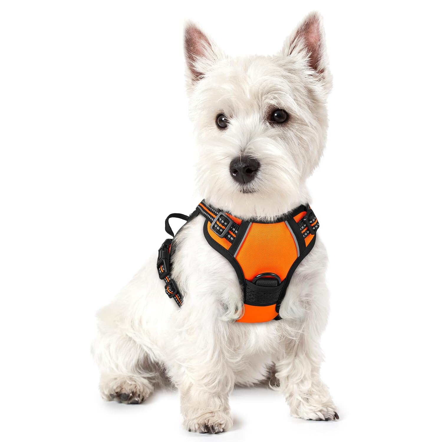 rabbitgoo Dog Harness No Pull with 2 Leash Clips, Adjustable Soft Padded, Reflective Oxford No Choke Pet Vest with Easy Control Handle for Large Dogs, Black, L