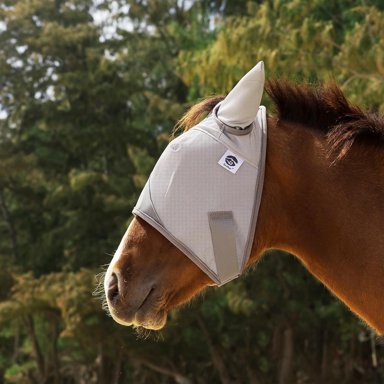 Raelitego Horse Fly Mask, Adjustable Fly Masks for Horses with Ears, UV Protection from Insect Pests Comfort Mesh Without Nose Average Size Horses Accessories(Large)