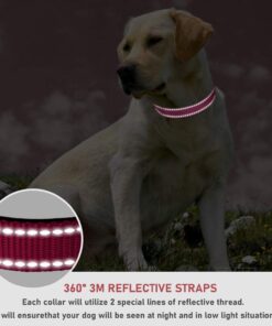 Reflective Dog Collar with Buckle Adjustable Safety Nylon Collars for Small Medium Large Dogs, Pink S