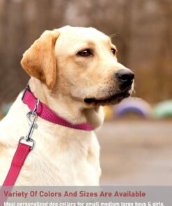 Reflective Dog Collar with Buckle Adjustable Safety Nylon Collars for Small Medium Large Dogs, Pink S