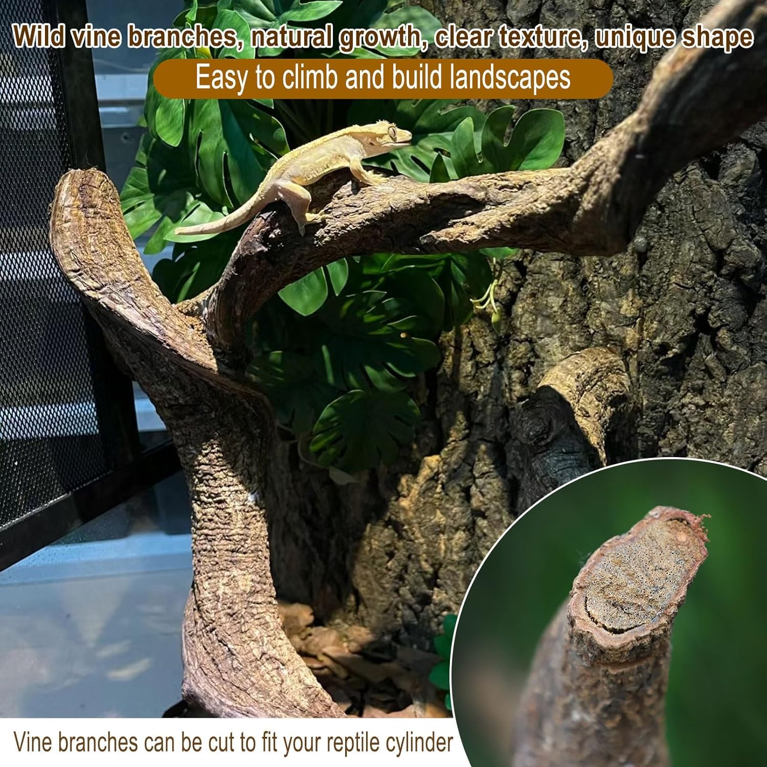 Reptile Decor 3PCS Natural Forest Branch Terrarium Habitat Decoration Lizard Climbing Tree Branch for Bearded Dragon Gecko Snake Frog Chameleon Spider