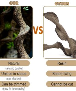 Reptile Decor 3PCS Natural Forest Branch Terrarium Habitat Decoration Lizard Climbing Tree Branch for Bearded Dragon Gecko Snake Frog Chameleon Spider