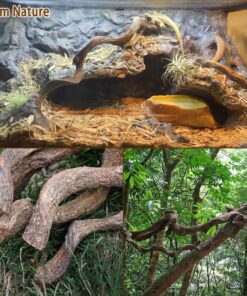 Reptile Decor 3PCS Natural Forest Branch Terrarium Habitat Decoration Lizard Climbing Tree Branch for Bearded Dragon Gecko Snake Frog Chameleon Spider