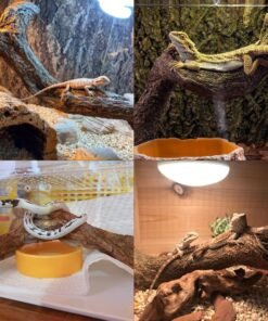 Reptile Decor 3PCS Natural Forest Branch Terrarium Habitat Decoration Lizard Climbing Tree Branch for Bearded Dragon Gecko Snake Frog Chameleon Spider