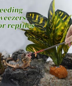 Reptile Feeding Tongs, Stainless Steel Lizard Feeding Tongs, Aquarium Straight Feeding Tweezers for Reptiles with Rubber Tip, Terrarium Feeding Tongs for Gecko, 10.63