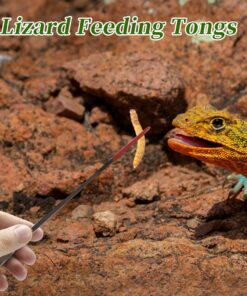 Reptile Feeding Tongs, Stainless Steel Lizard Feeding Tongs, Aquarium Straight Feeding Tweezers for Reptiles with Rubber Tip, Terrarium Feeding Tongs for Gecko, 10.63