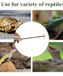 Reptile Feeding Tongs, Stainless Steel Lizard Feeding Tongs, Aquarium Straight Feeding Tweezers for Reptiles with Rubber Tip, Terrarium Feeding Tongs for Gecko, 10.63