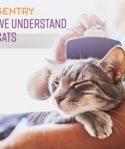 Sentry Calming Collar for Cats, Long-Lasting Pheromone Collar Helps Calm Cats for 30 Days, Reduces Stress, Anxiety, Loud Noises and Separation, 3 Count