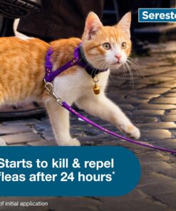 Seresto Cat Vet-Recommended Flea & Tick Treatment & Prevention Collar for Cats | 8 Months Protection