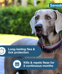 Seresto Flea & Tick Collar For Dogs Over 18 lbs., Treatment & Prevention, Vet-Recommend, 8 Month Protection