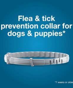 Seresto Small Dog Vet-Recommended Flea & Tick Treatment & Prevention Collar for Dogs Under 18 lbs. | 8 Months Protection