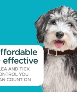 Sergeant's Guardian Pro Flea & Tick Collar for Dogs, Kills Fleas & Ticks, Long Lasting Protection for 6 Months, Fresh Scent, One Size Fits All, 1 Collar