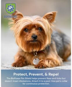 Shield Tag - Natural Flea & Tick Repellent Collar Tag for Dogs & Cats - Waterproof, Lasts 12 Months - Stainless Steel Pendant - Regular Tag (1Pack)