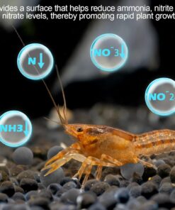 Shrimp Tourmaline (10 Packs of Regular Tourmaline) Contains Calcium and Over 30 Elements, which can Improve Health, Color, Shedding, Reproduction, and Survival Rates