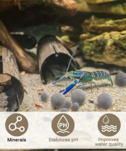 Shrimp Tourmaline (10 Packs of Regular Tourmaline) Contains Calcium and Over 30 Elements, which can Improve Health, Color, Shedding, Reproduction, and Survival Rates