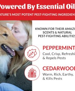 Skout's Honor Flea and Tick Shampoo for Dogs - Natural Peppermint & Cedarwood Formula, Helps to Protect from and Against Fleas, Ticks, and Mosquitos, 16 oz