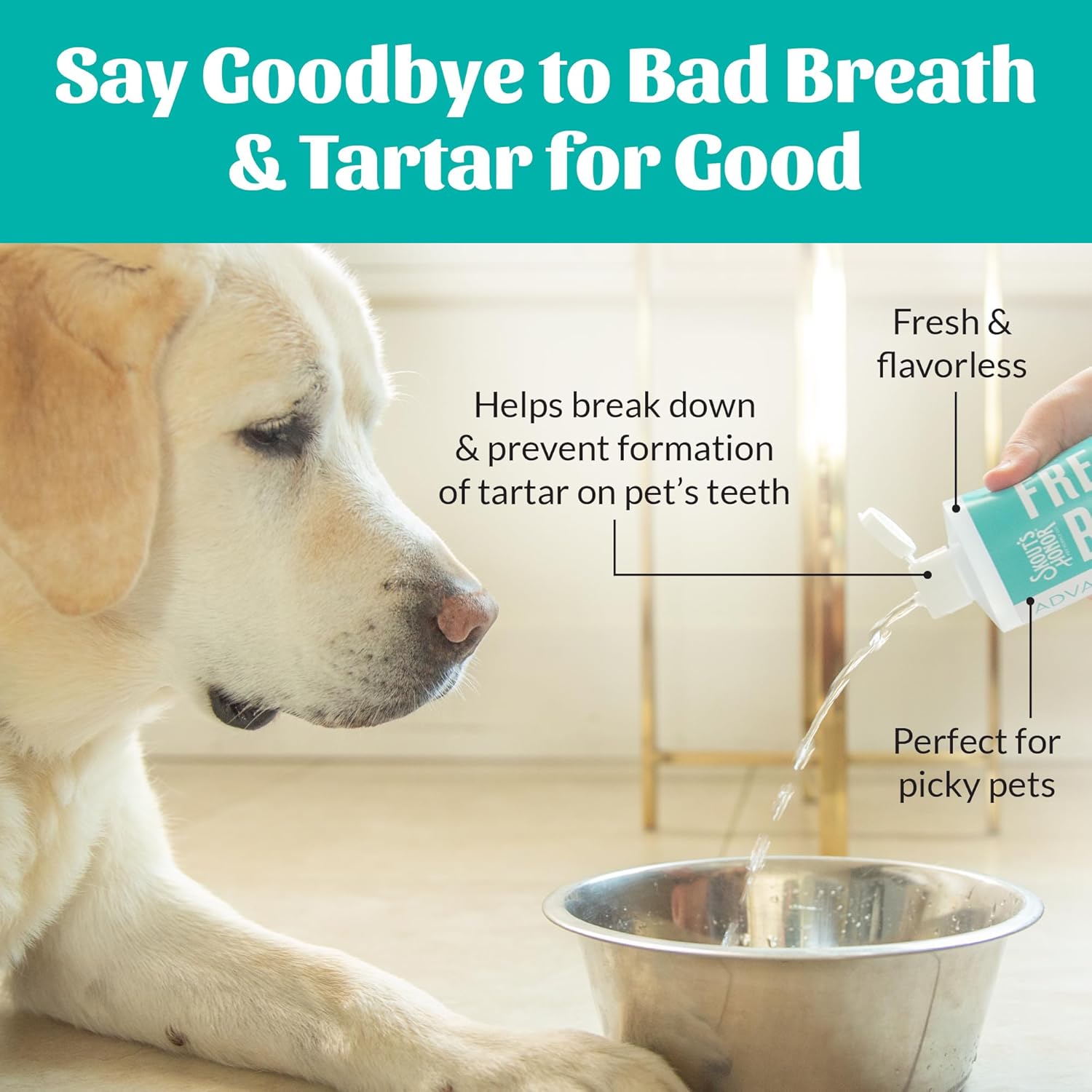 SKOUT'S HONOR Fresher Breath Water Additive, Fresh and Flavorless - VOHC Accepted for Tartar Control, Freshens Breath Fast, No Brushing Required, Great for Both Cats and Dogs,...