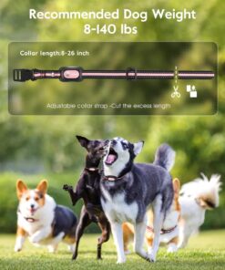 SLOPEHILL Dog Shock Collar,4200FT Dog Training Collar with Remote,IPX8 Waterproof E-Collar with Beep,Vibration,Shock,Flash Light,No Shock Mode,Electric Shock Collar for Small...