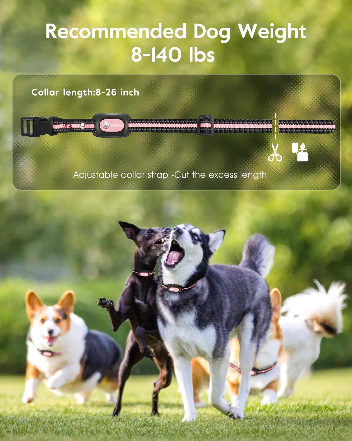 SLOPEHILL Dog Shock Collar,4200FT Dog Training Collar with Remote,IPX8 Waterproof E-Collar with Beep,Vibration,Shock,Flash Light,No Shock Mode,Electric Shock Collar for Small...