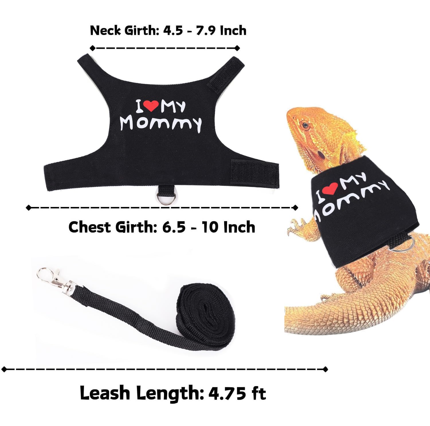 Small Animal Travel Backpack Carrier,Portable Bearded Dragon Bag for Sugar Glider,Hedgehog,Rat,Bunny,Rat,Outdoor Used (Black, Carrier L+ I Leash)