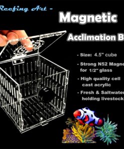 Small Magnetic Acclimation Breeder Box Anemone Coral Strong N52 Magnets for 1/2