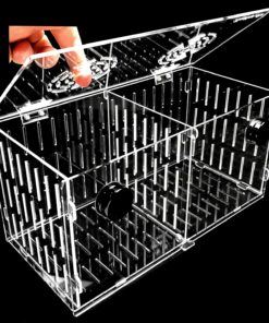 Small Magnetic Acclimation Breeder Box Anemone Coral Strong N52 Magnets for 1/2