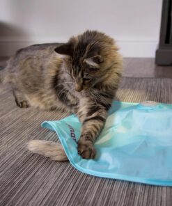 SmartyKat Electronic Motion/Moving Toys for Cats & Kittens, Battery Powered, Mimics Motion of Real Prey, Fun & Interactive Play - Multiple Styles