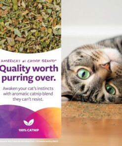 SmartyKat Natural Catnip Canister, 100% Natural Cat Nip for Cats, Premium Dried Catnip for Indoor Cats, Positive Training Aid for Play and Exercise, Resealable Shaker Bottle, 2...