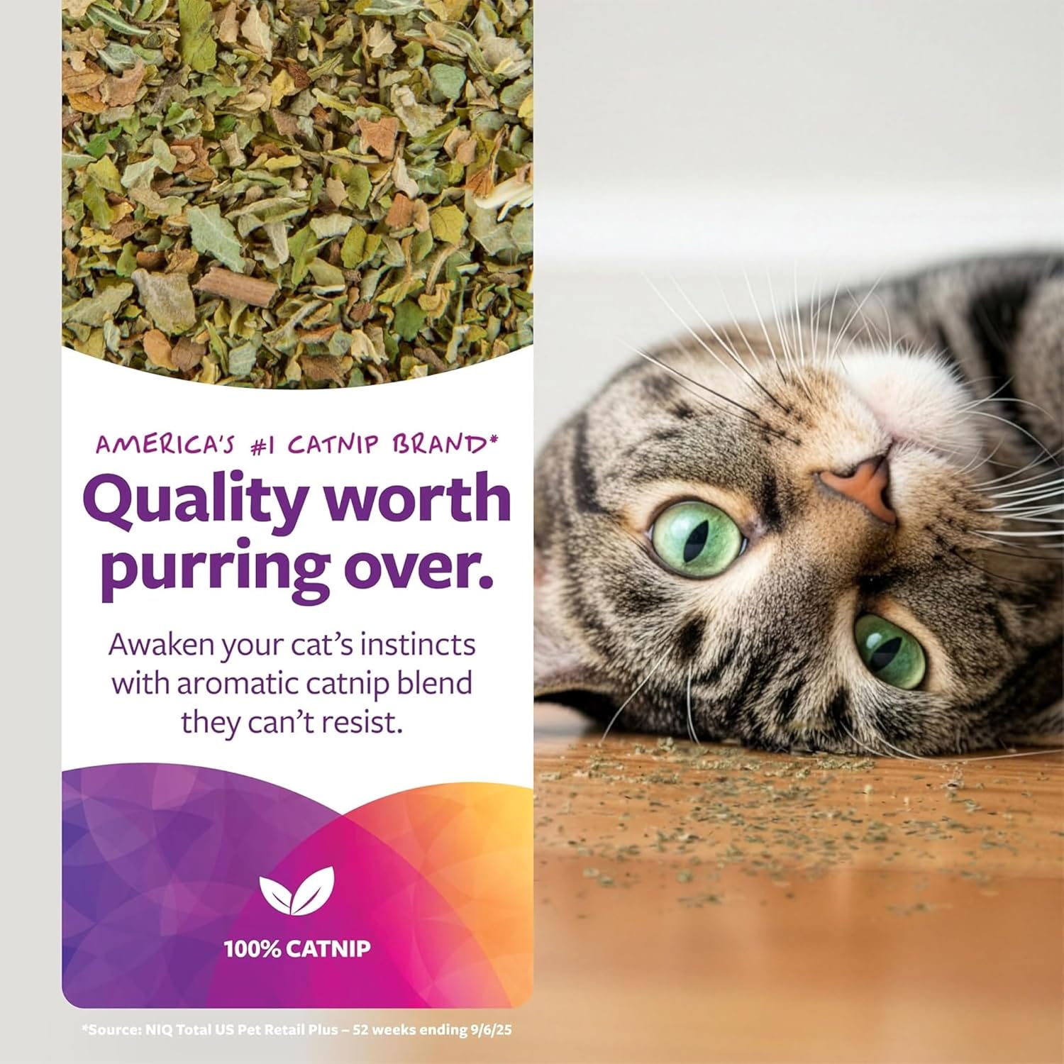 SmartyKat Natural Catnip Canister, 100% Natural Cat Nip for Cats, Premium Dried Catnip for Indoor Cats, Positive Training Aid for Play and Exercise, Resealable Shaker Bottle, 2...