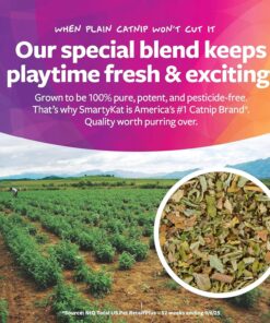 SmartyKat Natural Catnip Canister, 100% Natural Cat Nip for Cats, Premium Dried Catnip for Indoor Cats, Positive Training Aid for Play and Exercise, Resealable Shaker Bottle, 2...